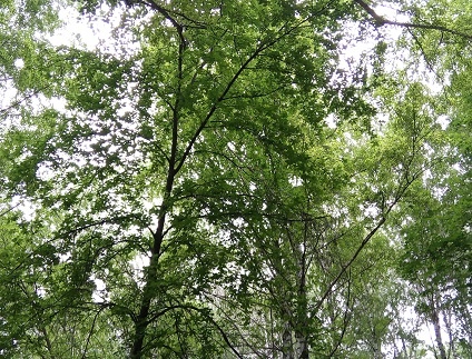 Фотография из личного архива автора