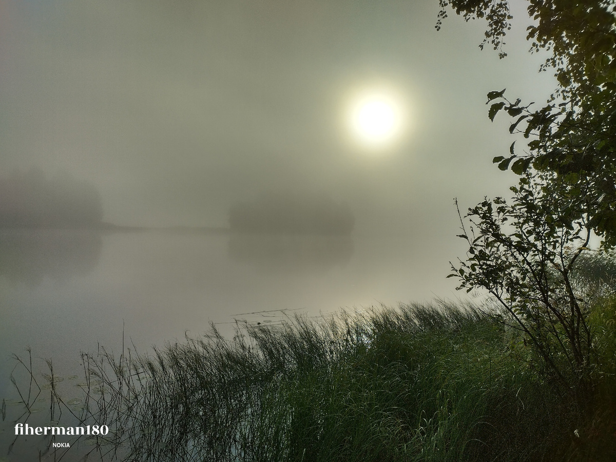 Туманное утро 