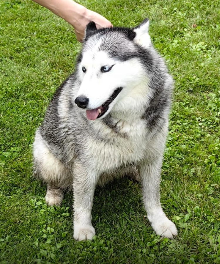 Вот такую фоточку прислали