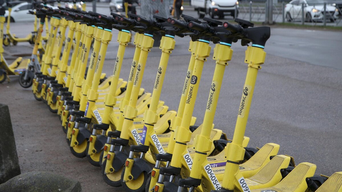    Фото: Maksim Konstantinov/globallookpress.com