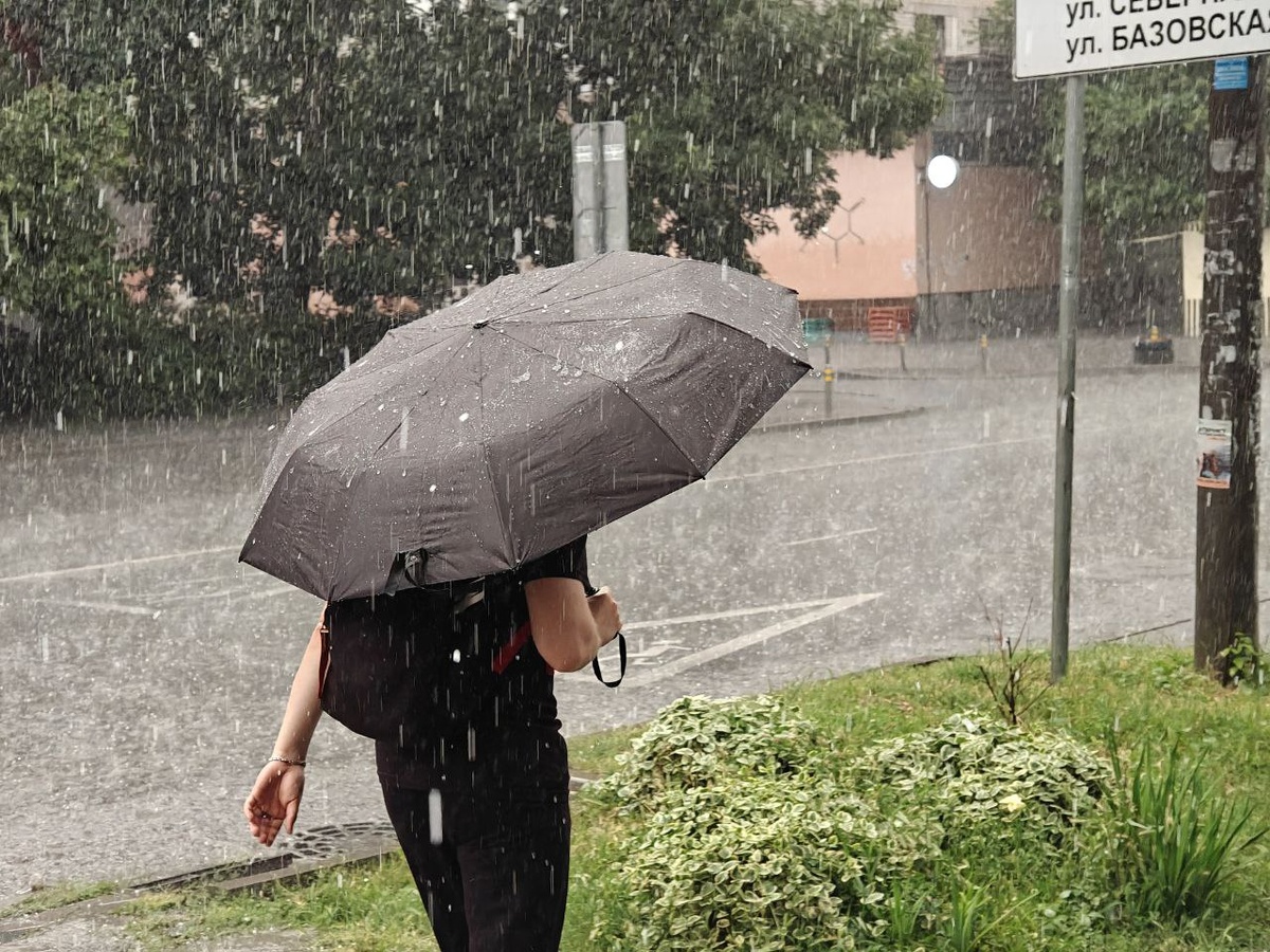    Фото: Юрий Серебренников/BFM Кубань