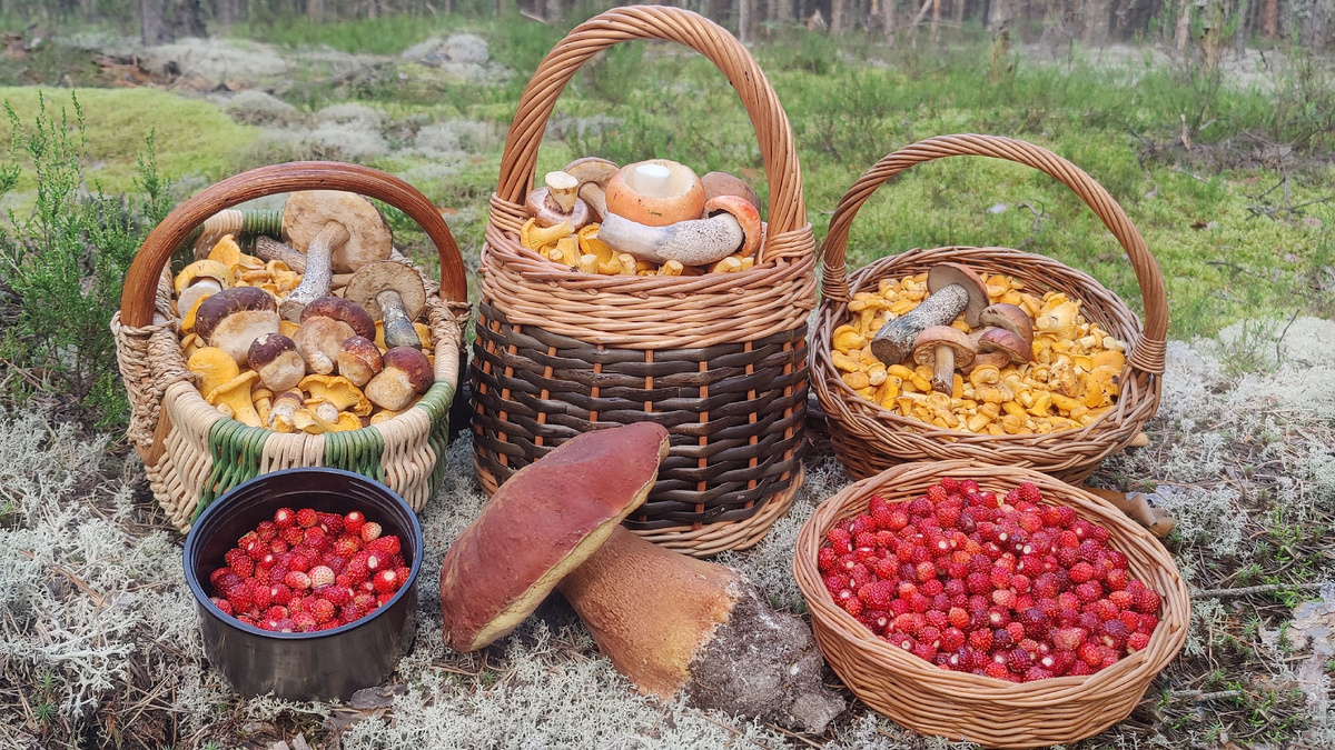 Общий скромный итог. Фото автора.