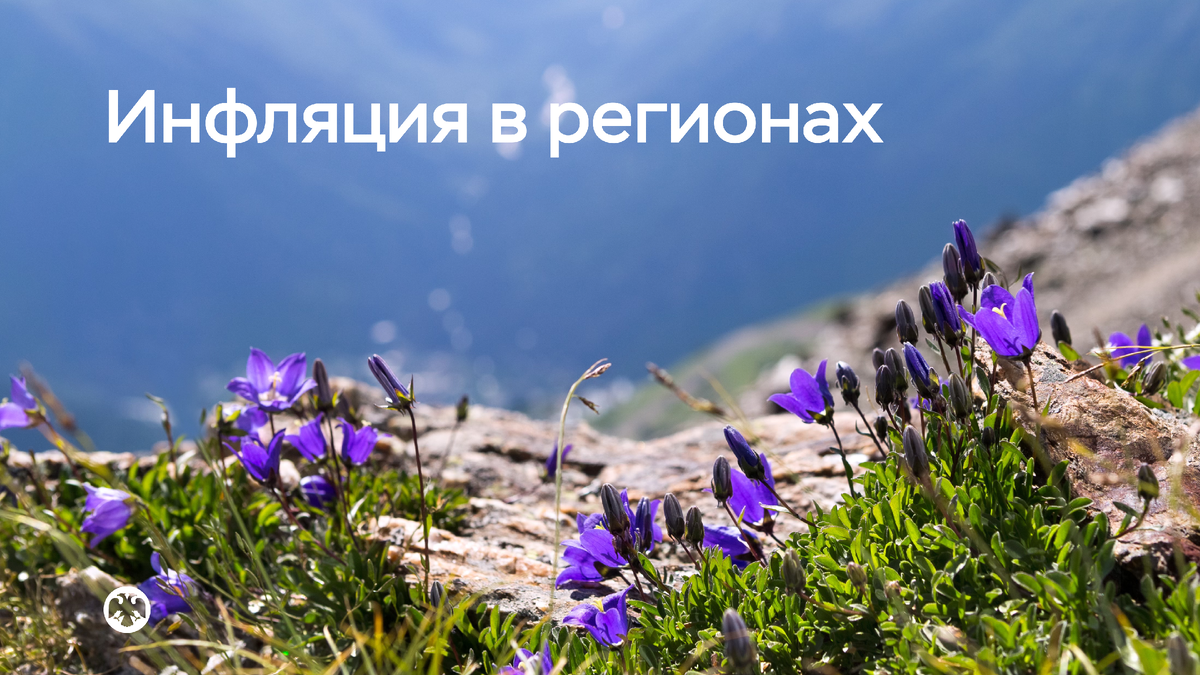 Фото: Shutterstock / Svetlana Pechenkina