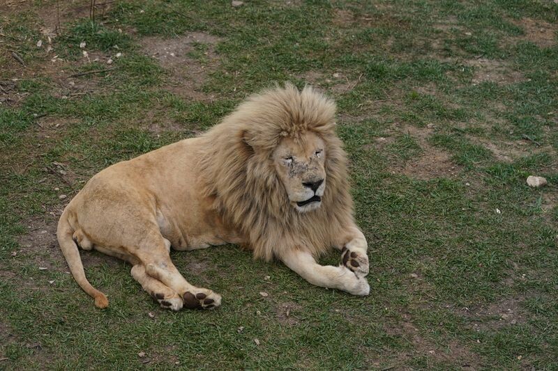     / Источник: ©ИЗВЕСТИЯ/Дмитрий Коротаев