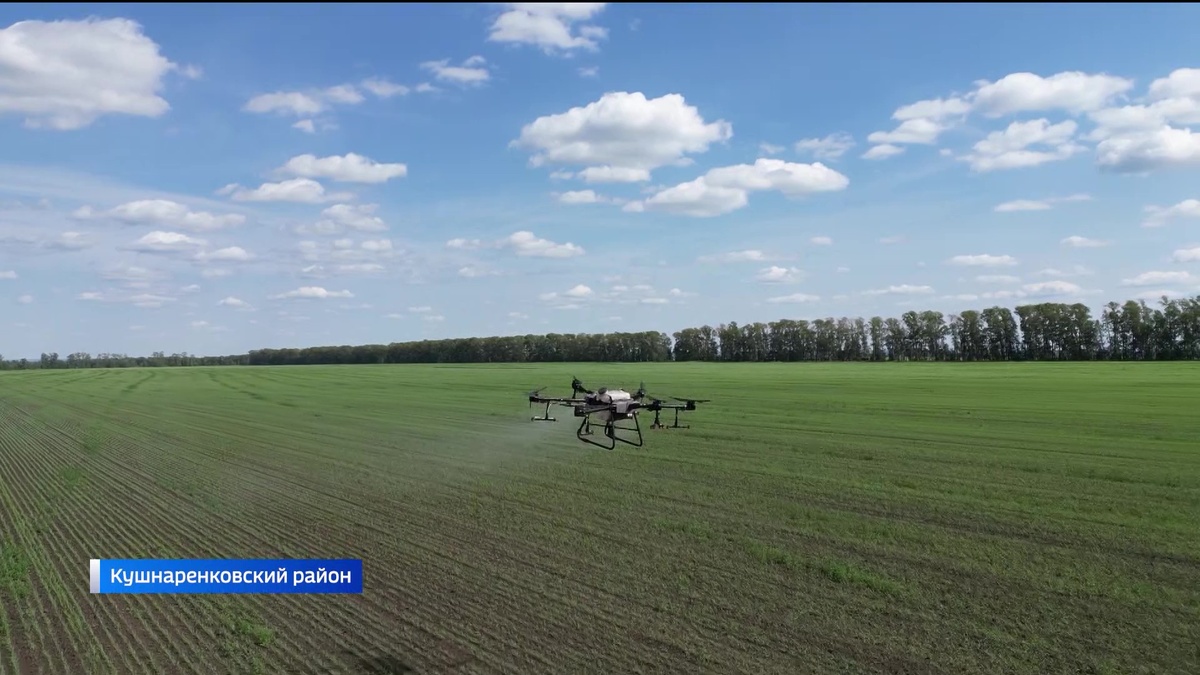    В Башкортостане аграрии борются с сорняками при помощи дронов