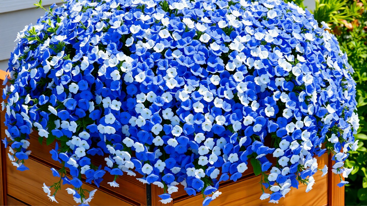 Калибрахоа: ваш секрет роскошного сада, который вас обманывал все это время.