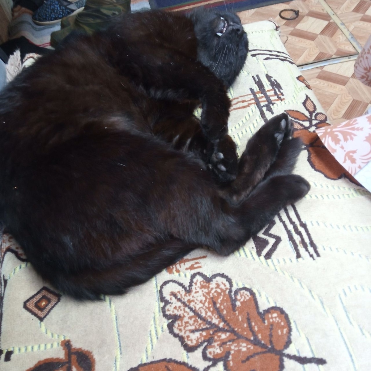 И снятся мне омары, раки, крабы)))