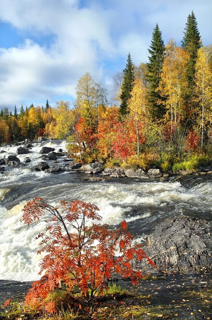 Фото из архива национального парка