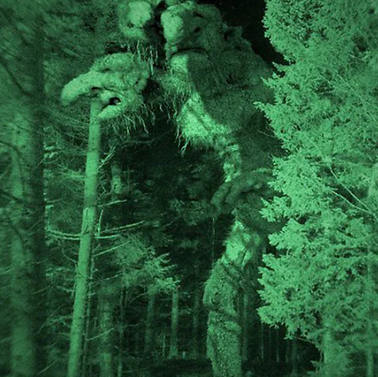 5 фильмов о монстрах, которые вы могли пропустить - сильнее многих блокбастеров