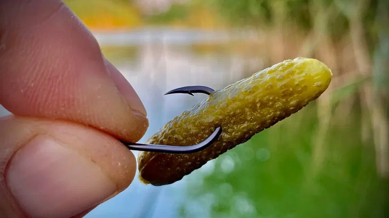 Фото с сайта: http://avatars.mds.yandex.net