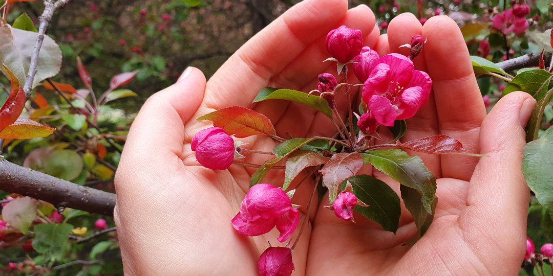 Вдохновение от природы или Жизнь - прекрасная кокетка, ей конца нарядам нет!