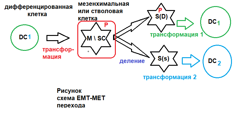 Схема 1 - ЕМТ -ТЕМ процессинга