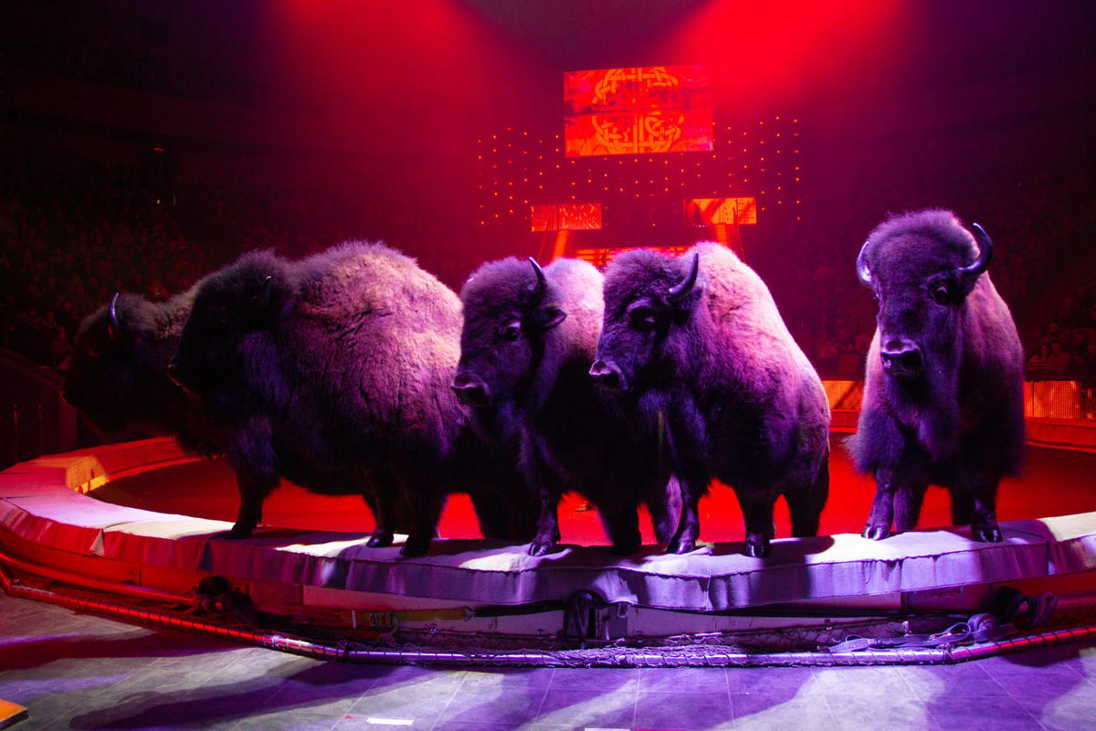 Фото отсюда: sama-samara.ruс