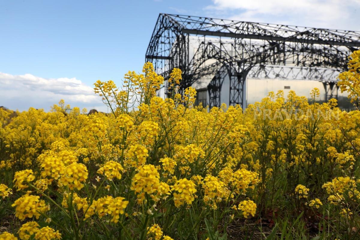   Пакгаузы стали частью современной культурной жизни Нижнего Новгорода