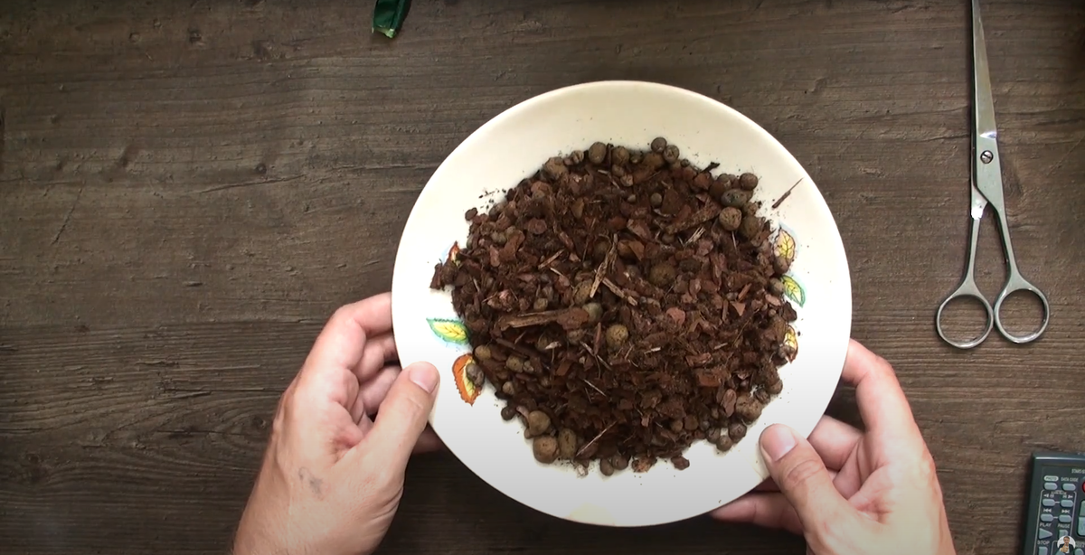 грунт с содержанием земли и торфа - убийца фаленопсис