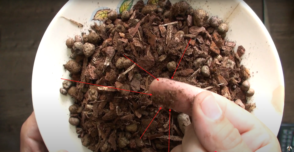 Земля в грунте для фаленопсис