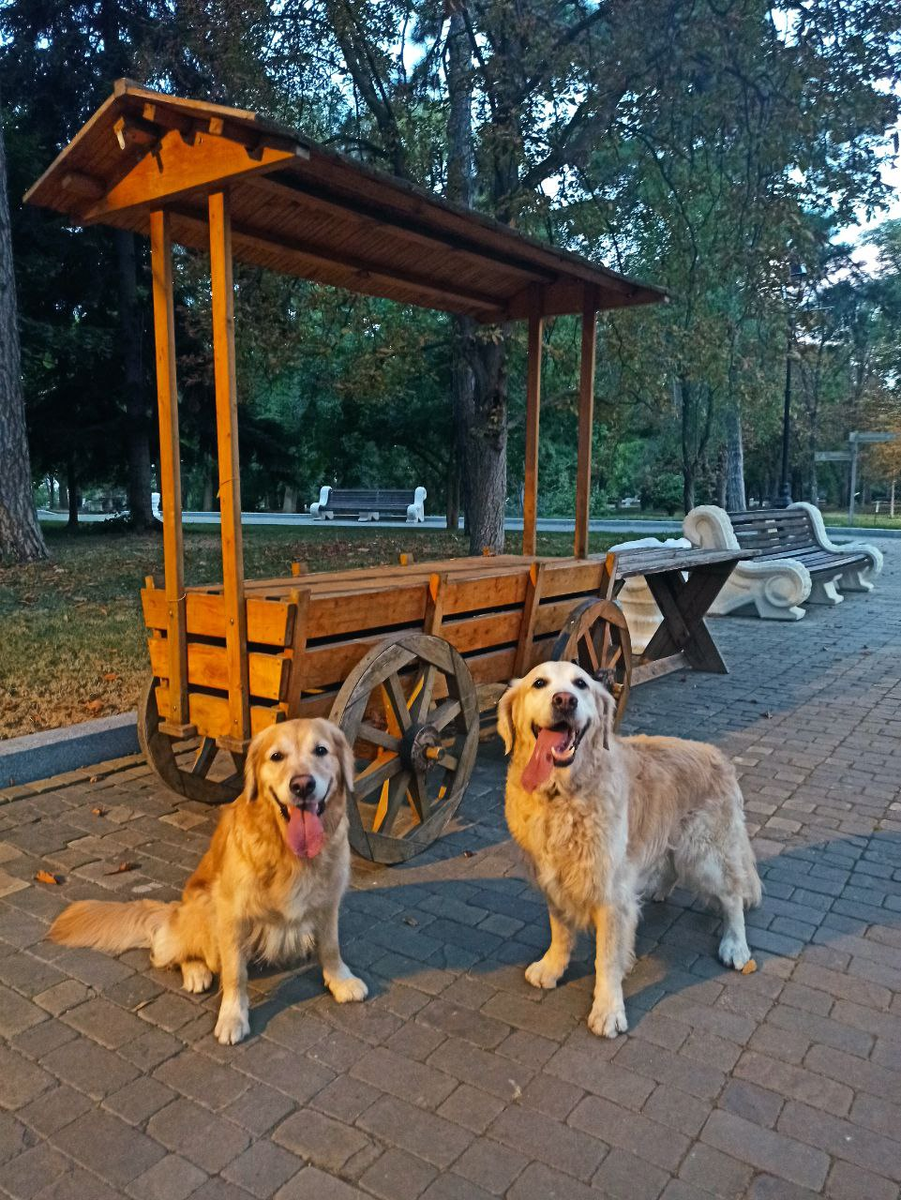 Куба и Ляля, очень уютный снимок получился