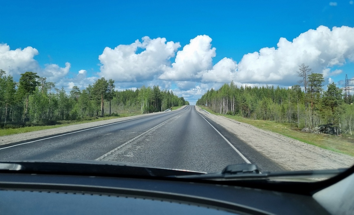 Дорога из Волгоды в Медвежьегорск. Каждый час я ловила себя на мысли: об этой дороге я ничего не знаю