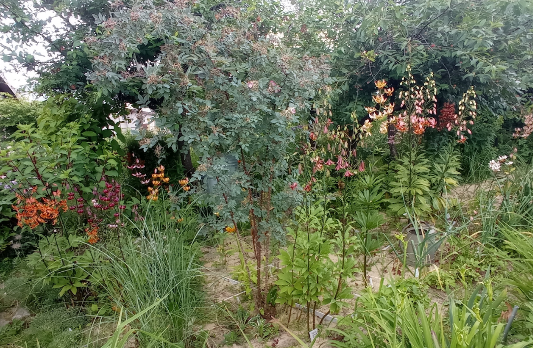 а сегодня так