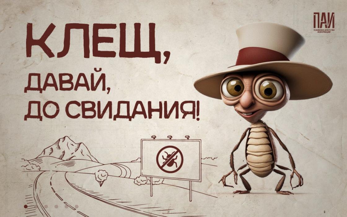 Как вести себя при встрече с клещами
Фото: Кирилл Гавриленко