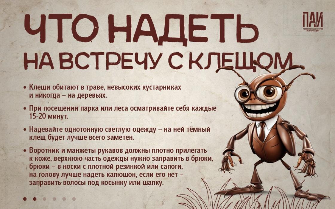 Как вести себя при встрече с клещами
Фото: Кирилл Гавриленко