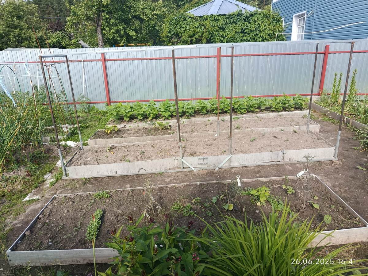 Процесс пошел