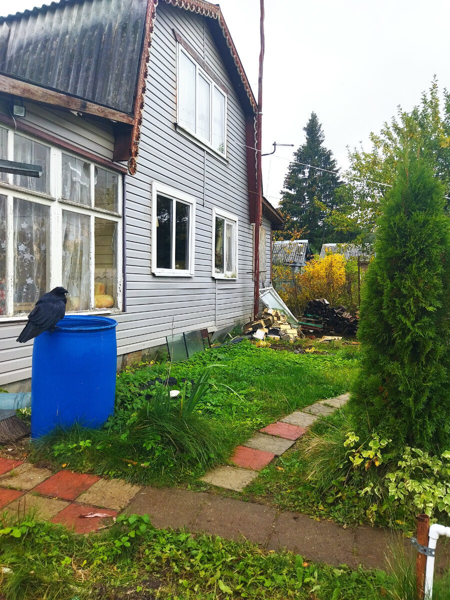 Ширина дома метров 9, и длина 6. дата фото октябрь 23 года