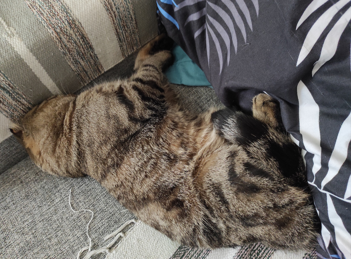 Ушёл в себя 