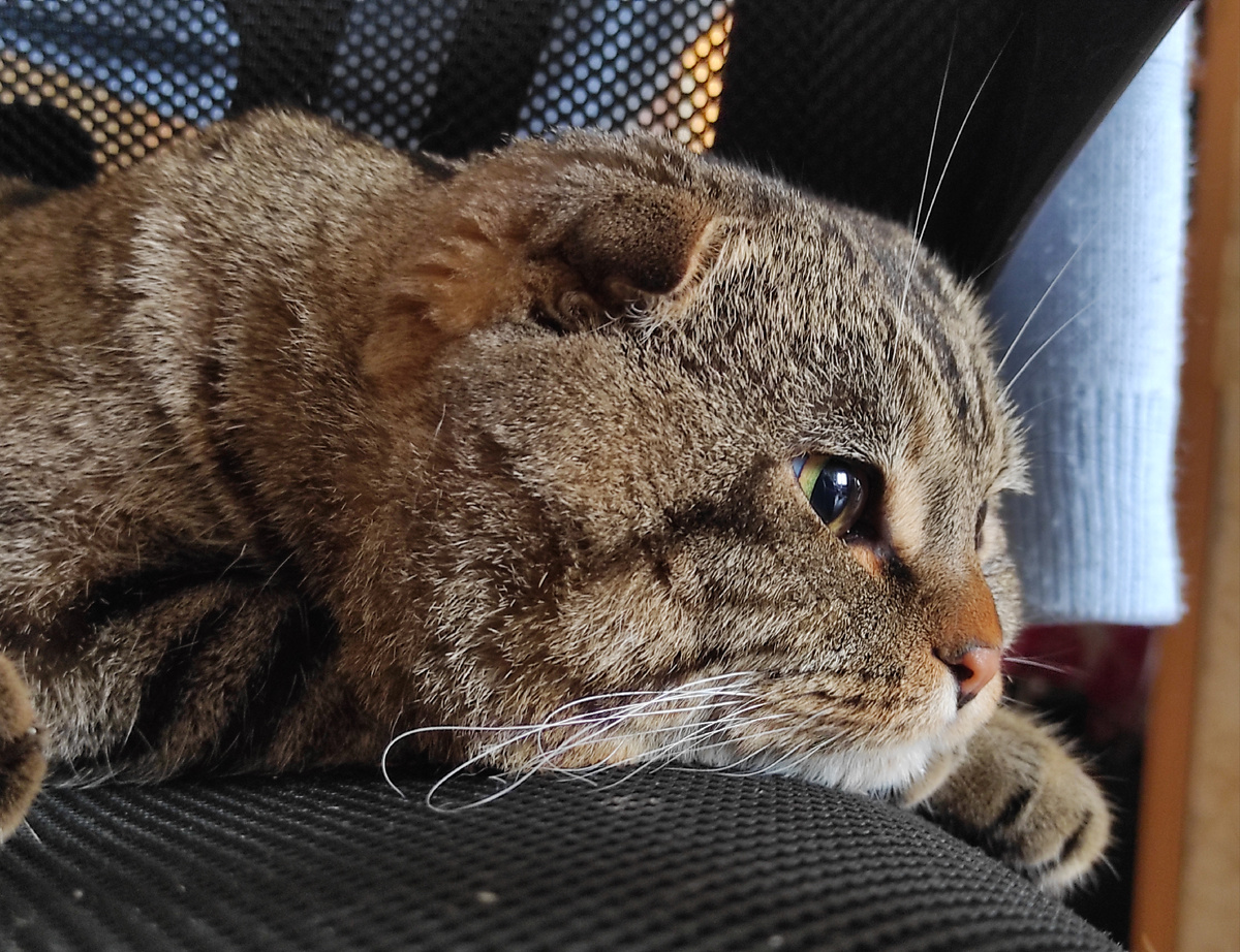 «Уйди старушка, я в печали»