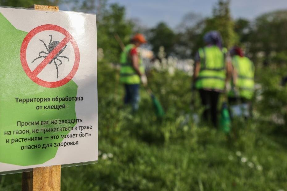    Сергей Булкин/NEWS.ru