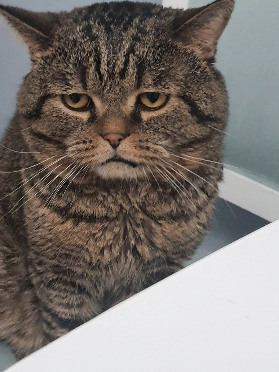 иллюстрация из яндекс картинки.