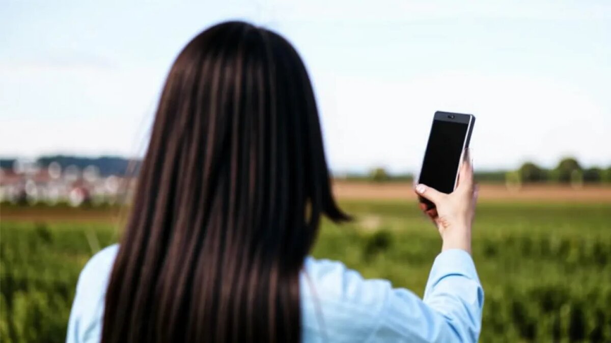    Сгенерировано ИИ