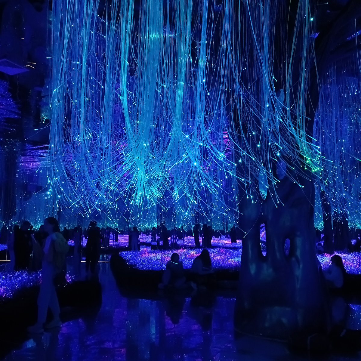 Пусть тут будет это психоделическое фото с выставки