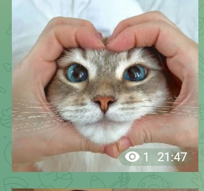 Умоляю отпустите!