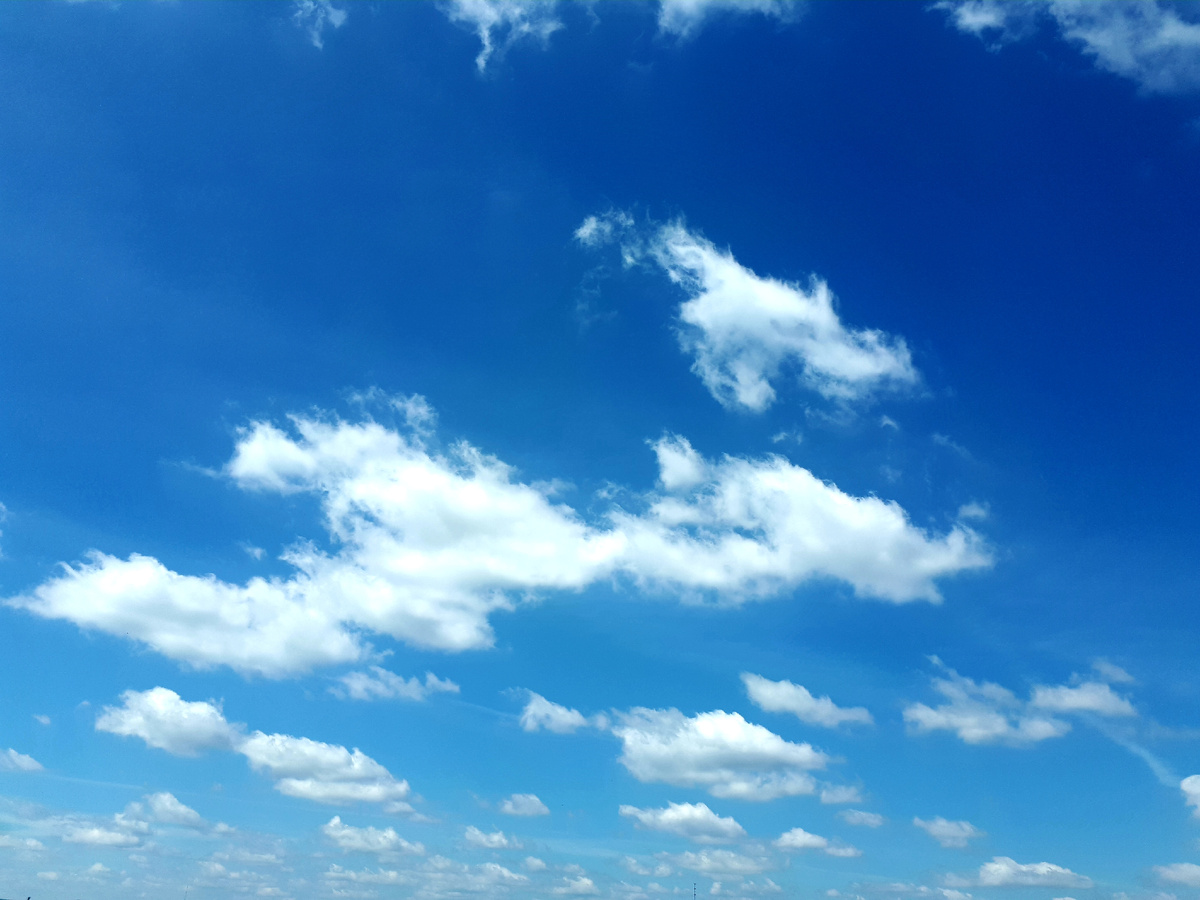 Фото автора 03.07.225г