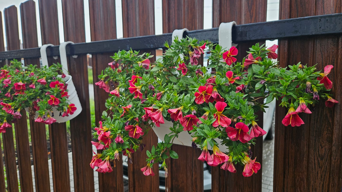 К калибрахоа это всё тоже относится