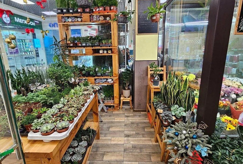 Минимальный ассортимент горшечных растений в цветочном магазине.