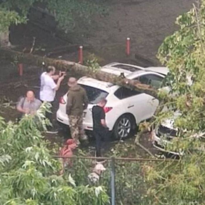 Источник фото: Соцсети