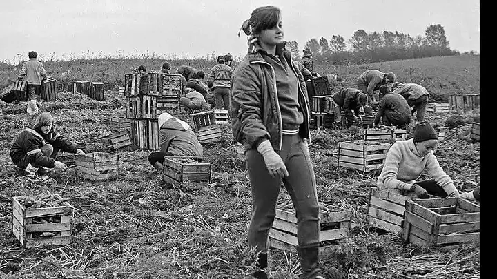 Фото из открытых источников