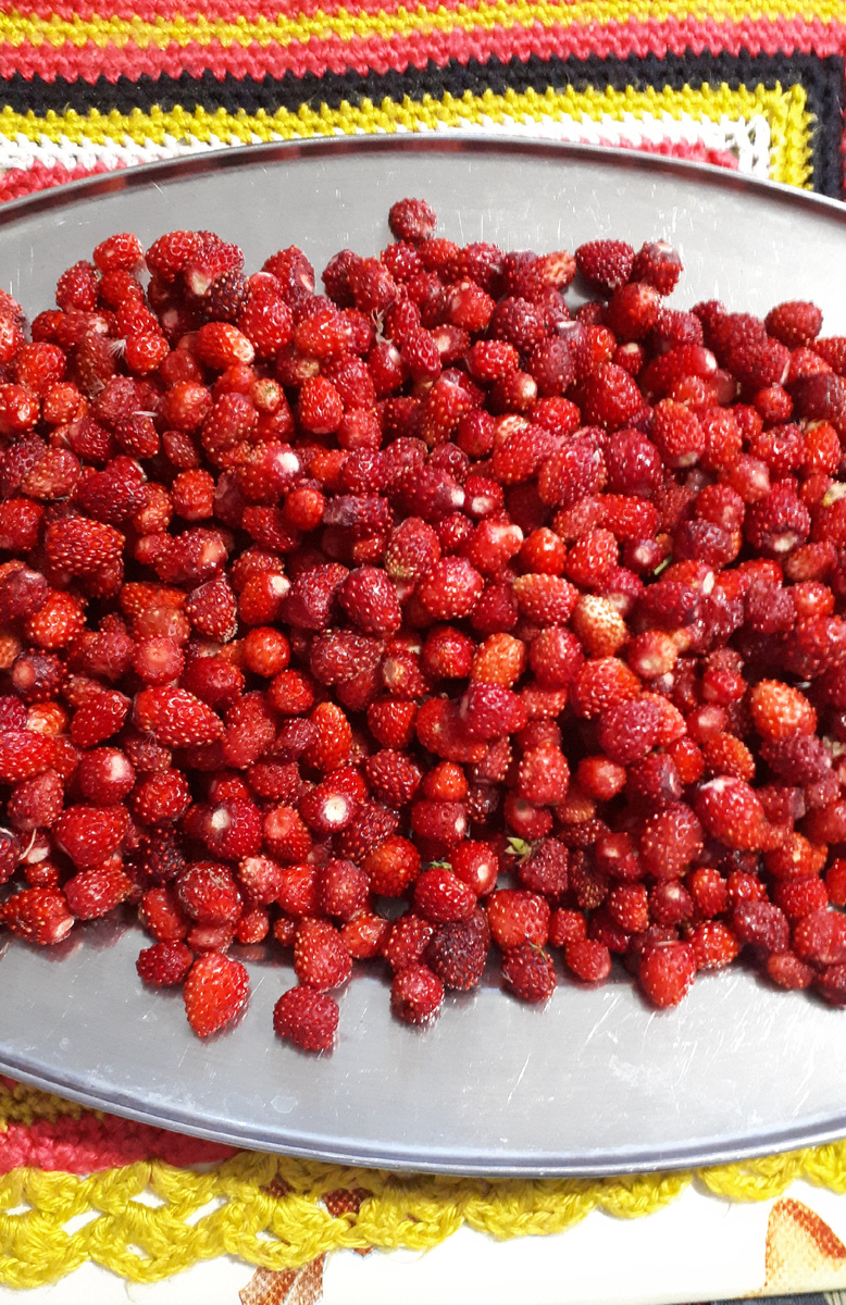 Земляника.... нет ягод  вкуснее ее .