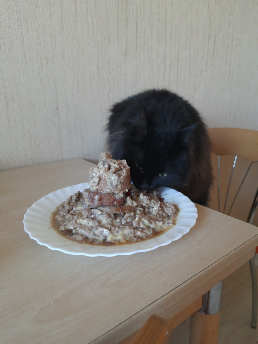 Праздничный торт для Самуила