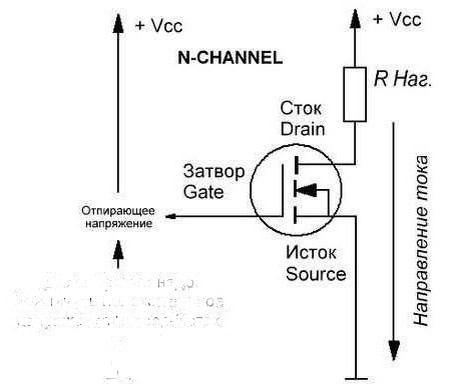 Фото из интернета.