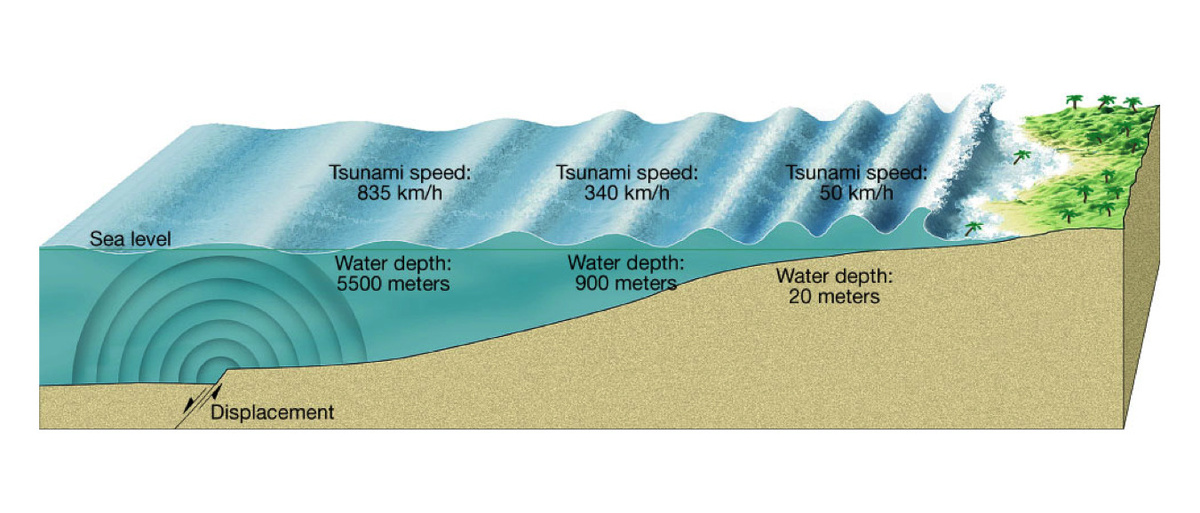 Структура цунами.