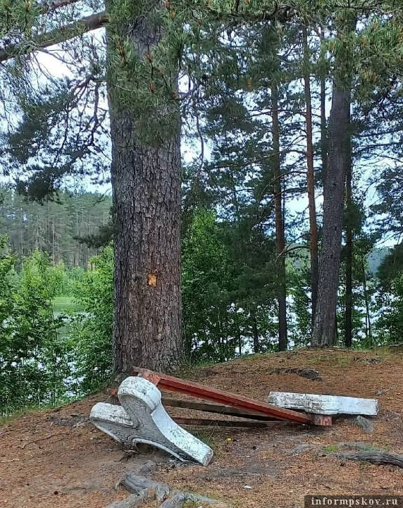 Вандализм на берегу озера. Фото здесь и далее: Telegram-канал Александра Волкова