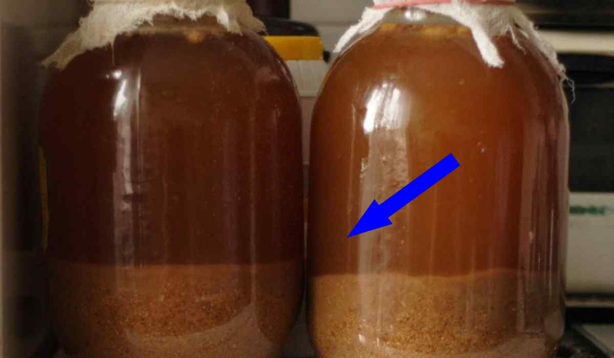    Этот рецепт кваса с имбирем и мятой взорвал мой блог