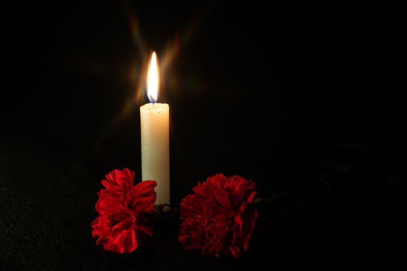     / Источник: ©ИЗВЕСТИЯ/Анна Селина