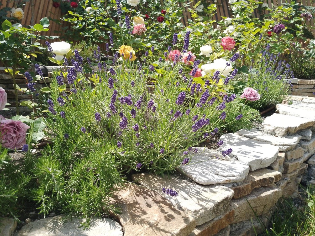 Посмотрите, какие классные ландшафты создает моя ученица придя в профессию после 40