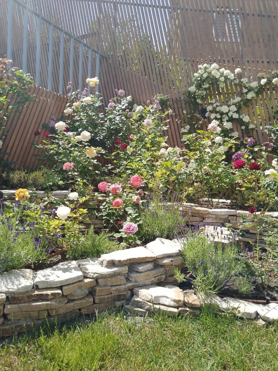 фото работ ученицы