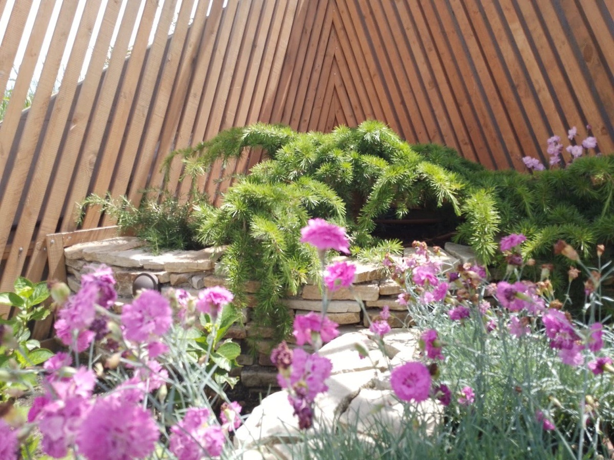 фото работ ученицы