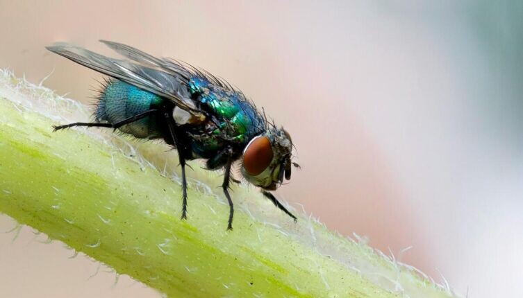     Фото: Philip Veater on Unsplash